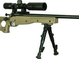 Crickett 22 MAG Precision Rifle FDE Package .22 LR Single Shot 16 1/8" Barrel